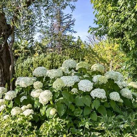B&B Villa Adriano Desenzano del Garda Zewnętrze zdjęcie