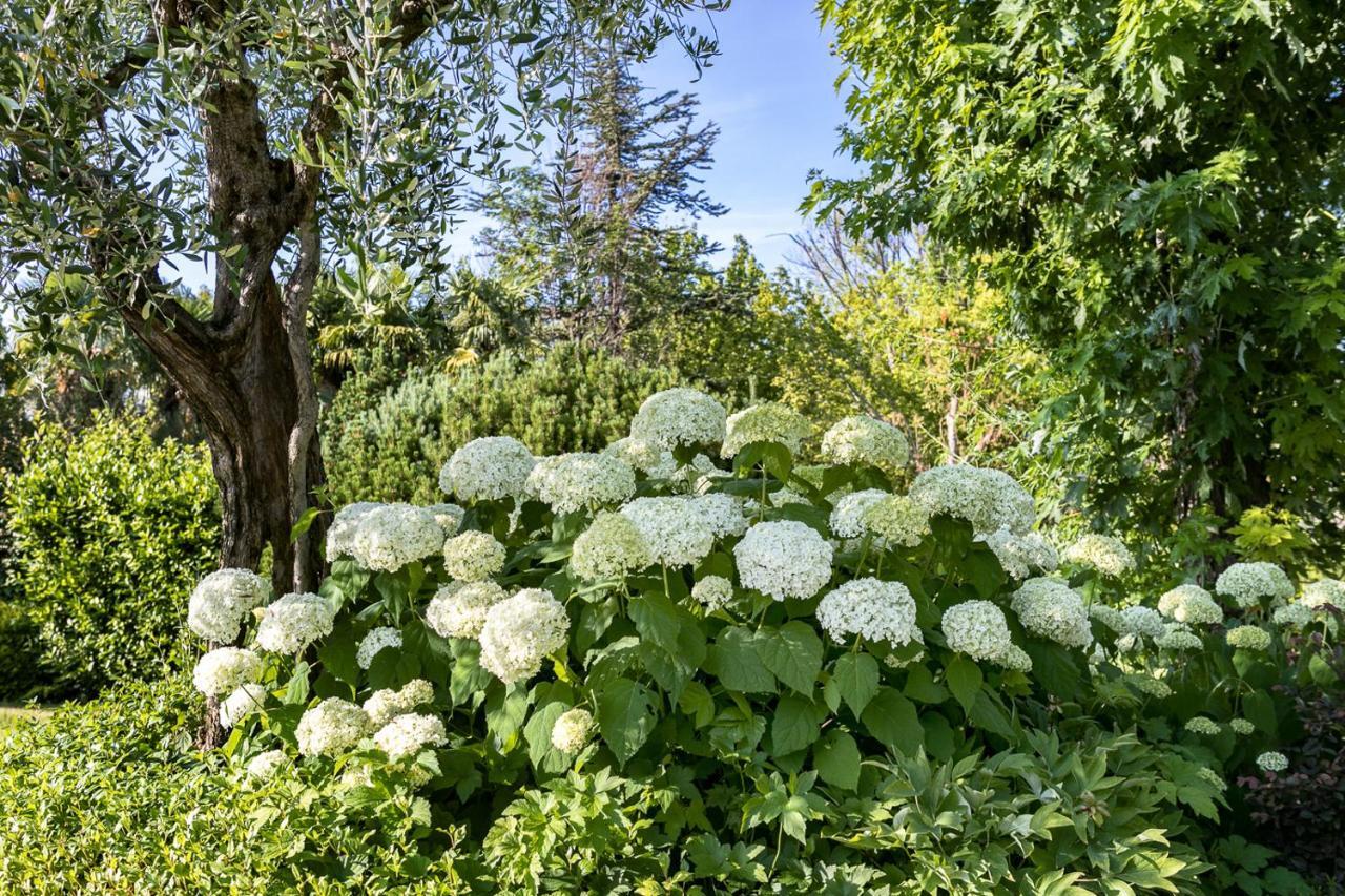 B&B Villa Adriano Desenzano del Garda Zewnętrze zdjęcie